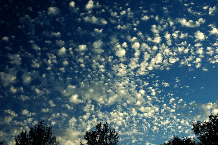 photo by john h gregory