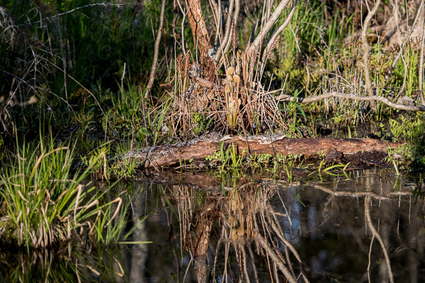 D81_2981_20160511_201x_160511