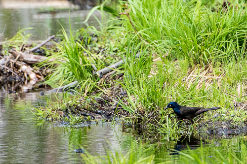 D81_3022_20160514_242x_160514