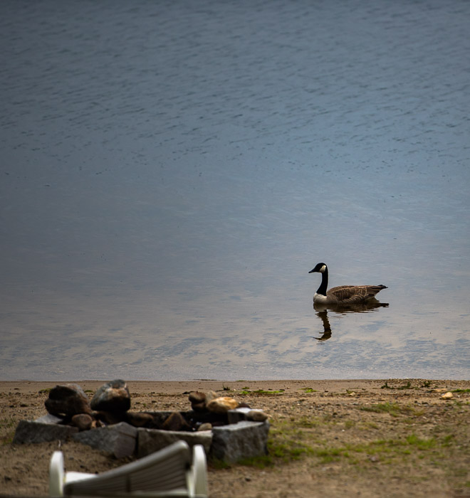 D81_3127_20160529_347x_160529