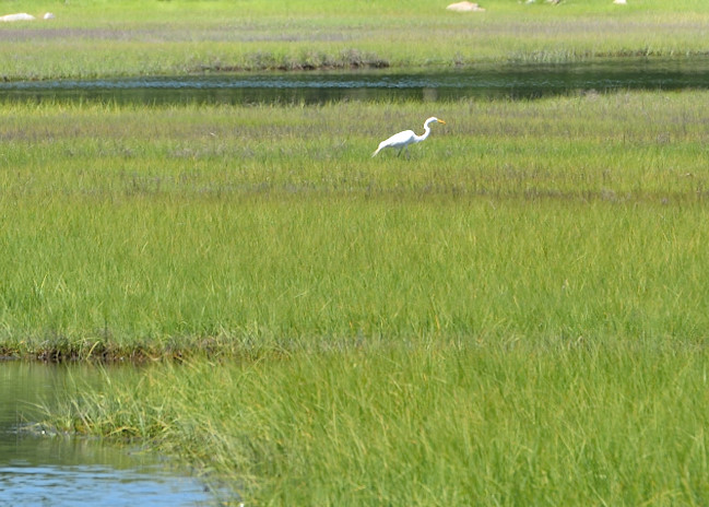 d81_3559_20160625_415_160625_195