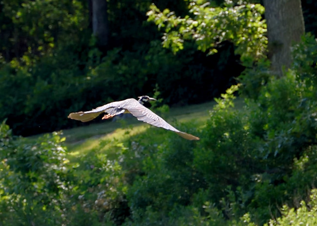 d81_3568_20160625_424_160625_196