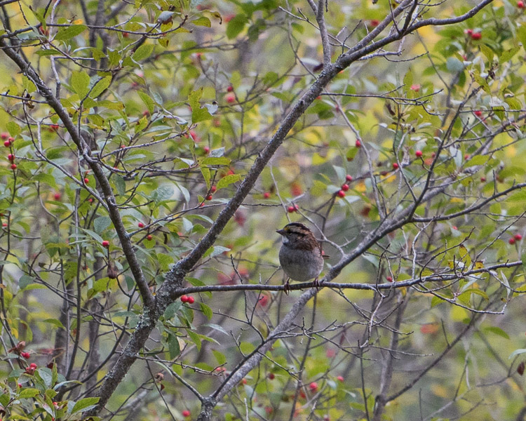 d81_4177_20161001_849x