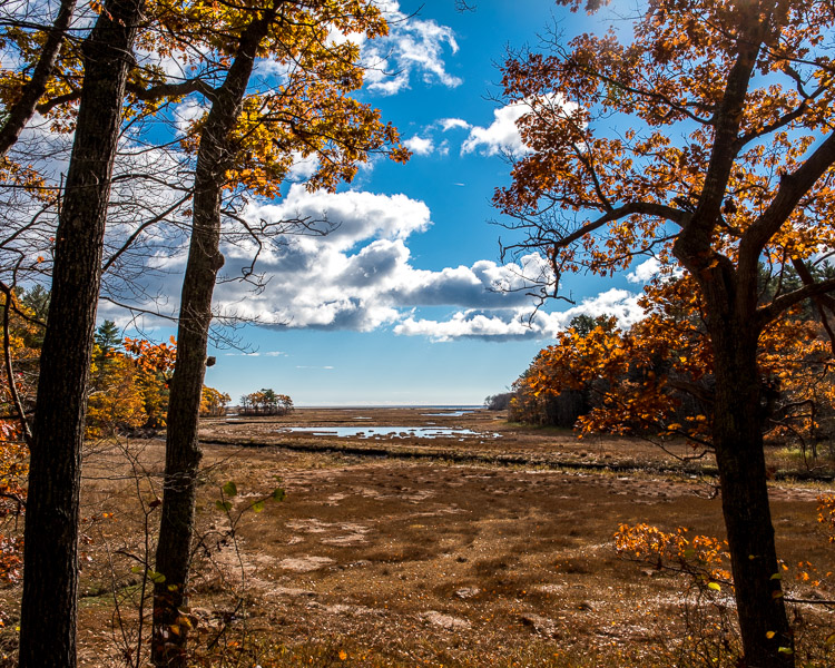 d81_4389_2016110491z