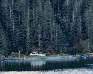 Abandoned ship D81_5639_z