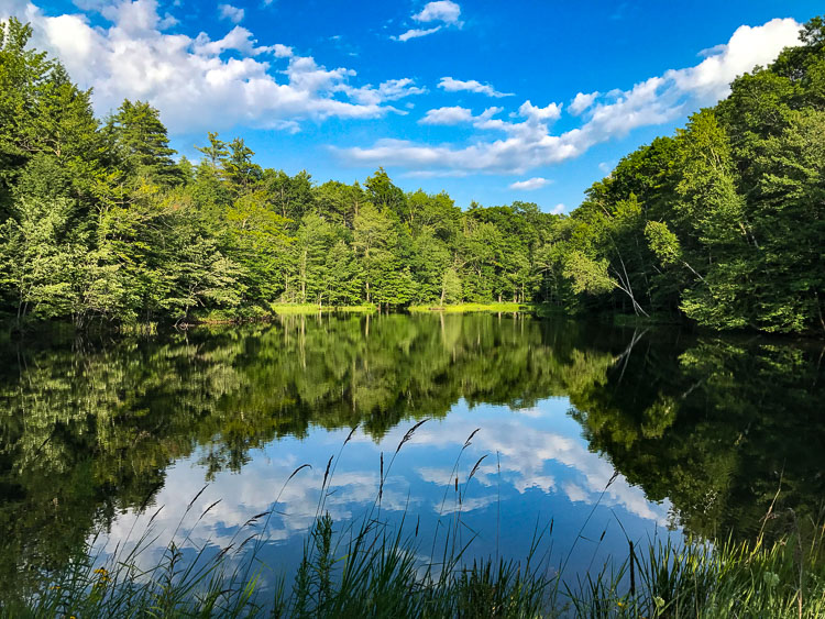 Summer at Noname pond Maine img3696