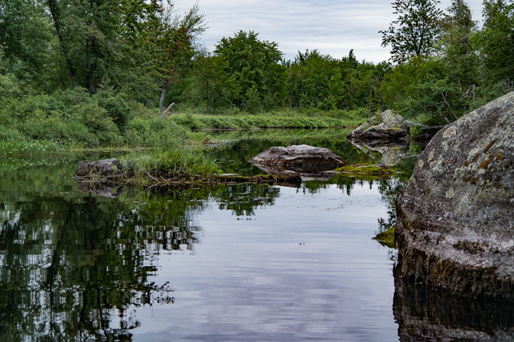 Madagascal stream SAM_07150392z