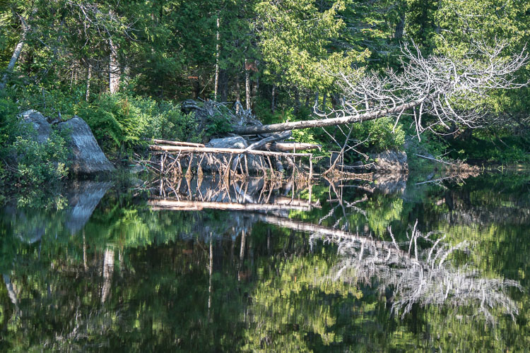 South Madagascal stream SAM_07160453z