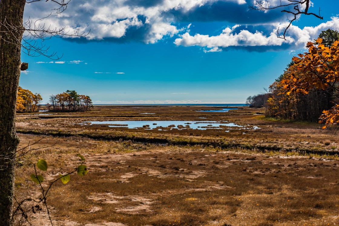 image D81_4387_2016110489z