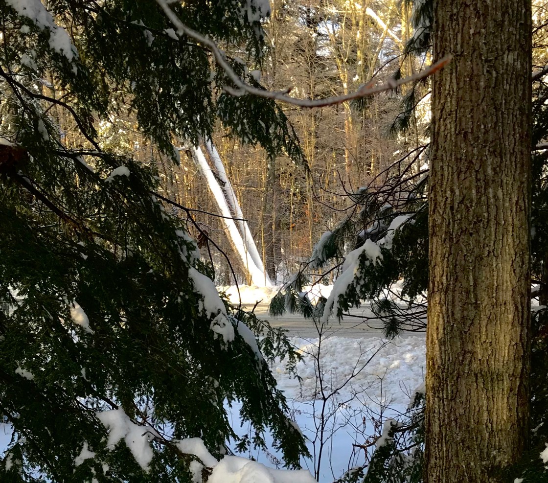 C2F701B3-D9E5-4F2E-8405-FD7BD71112CF